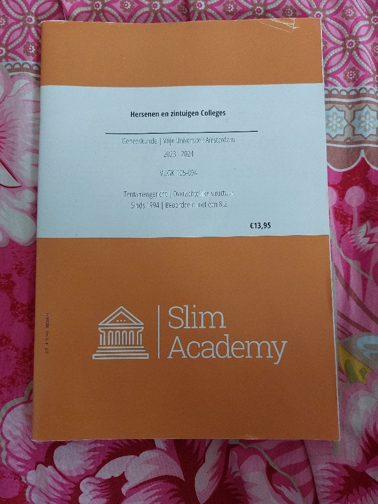 Hersenen en zintuigen colleges VU geneeskunde slim academy, Ophalen, Beta, WO, Slim academy