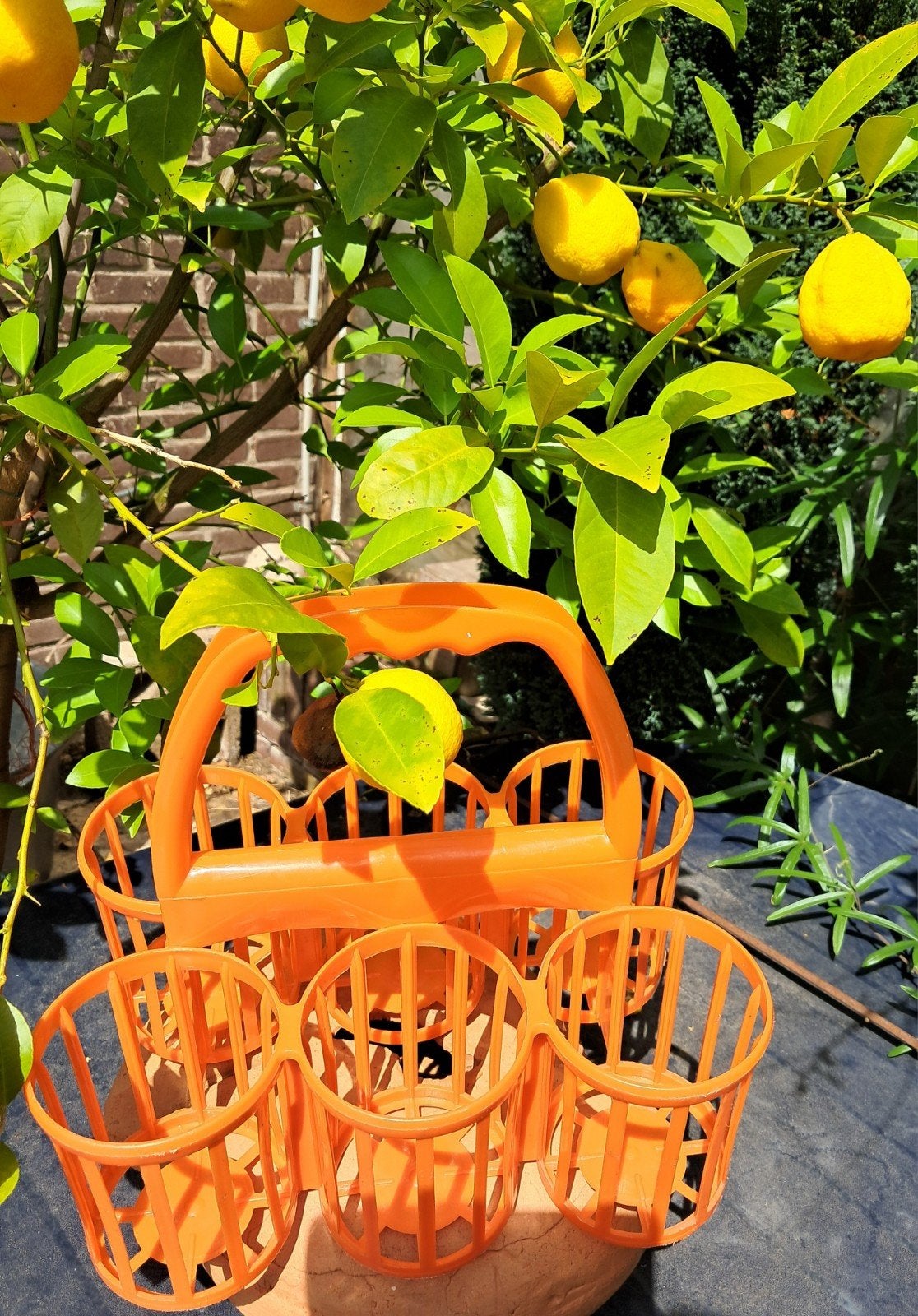 vintage orange flessenhouder 1965-1970, Ophalen, 5 tot 15 flessen