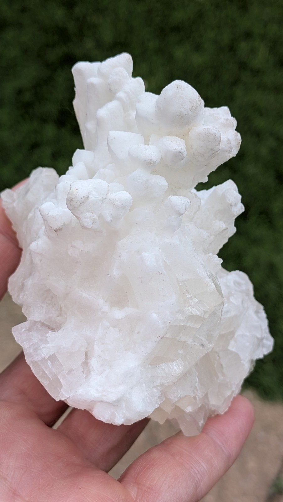 witte aragoniet, Ophalen of Verzenden