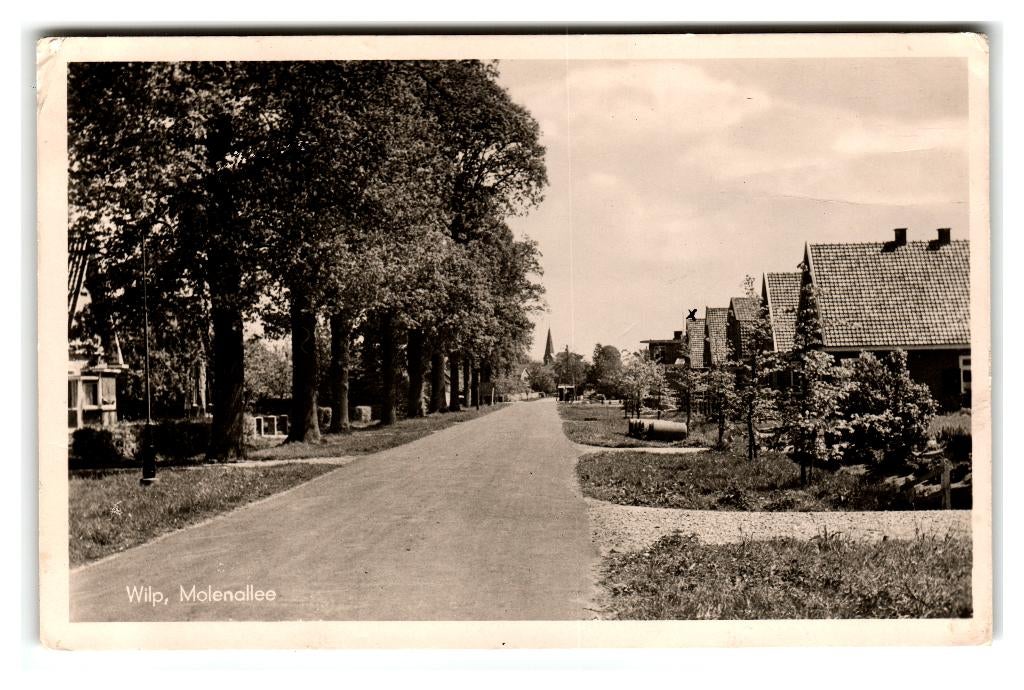 Wilp, Molenallee. Lees beschrijving, Verzenden, 1940 tot 1960, Gelopen, Gelderland