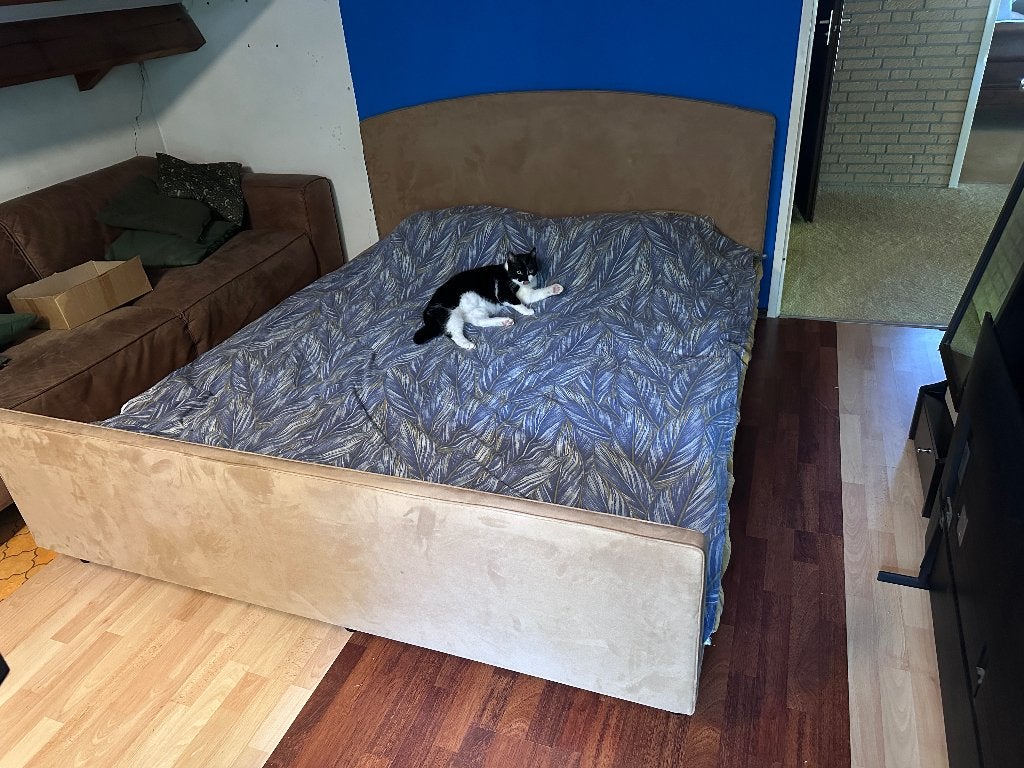 Auping bed, Ophalen, Gebruikt, Overige kleuren, Tweepersoons