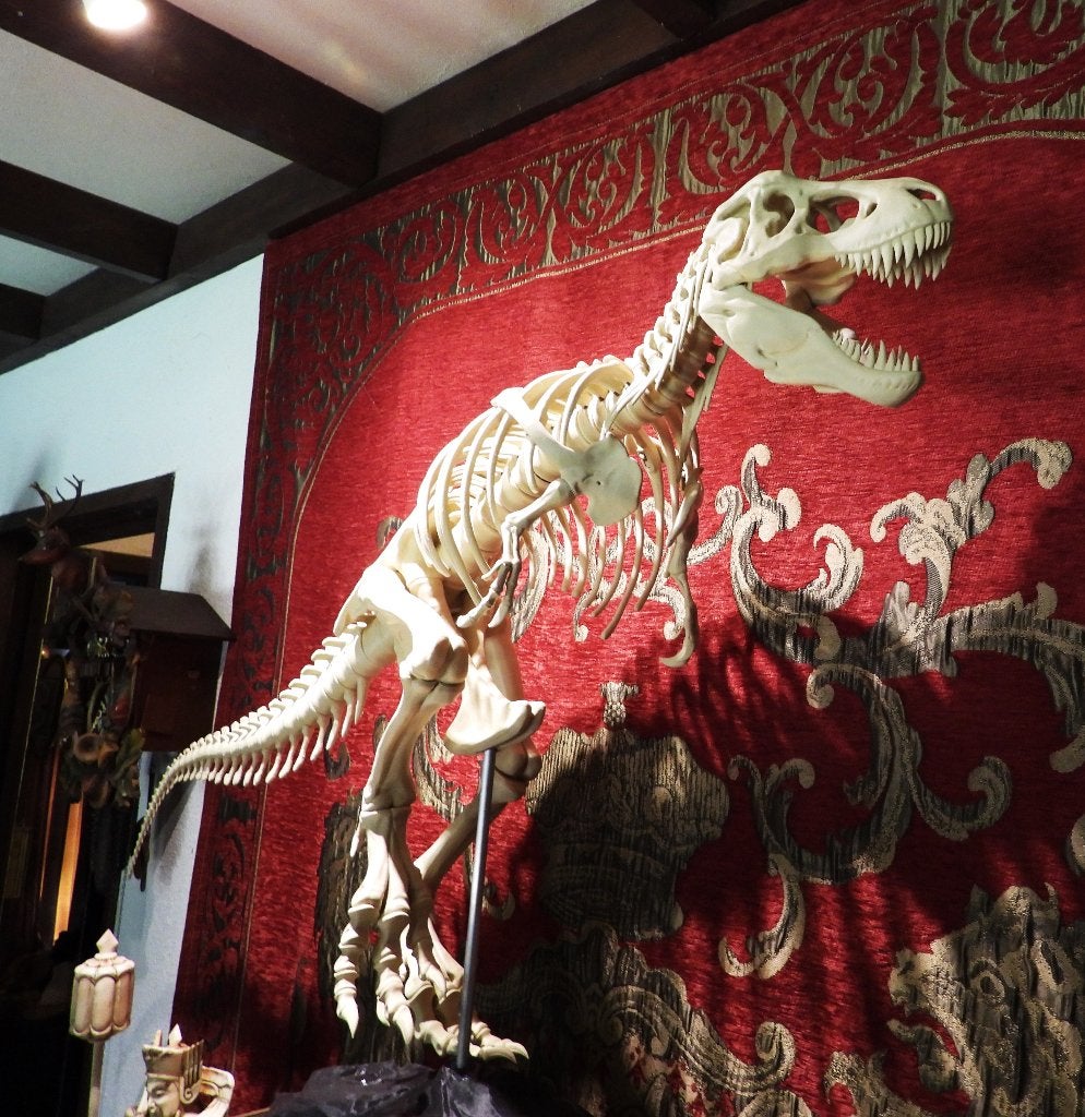 Uniek volledig T-Rex Skelet – 3D Museumkwaliteit 140cm lang, Ophalen, Overige typen