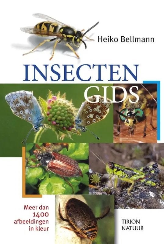 Insecten Gids - Heiko Bellmann (Nieuw, 448 pagina's), Boeken, Natuur, Nieuw, Natuur algemeen, Ophalen of Verzenden