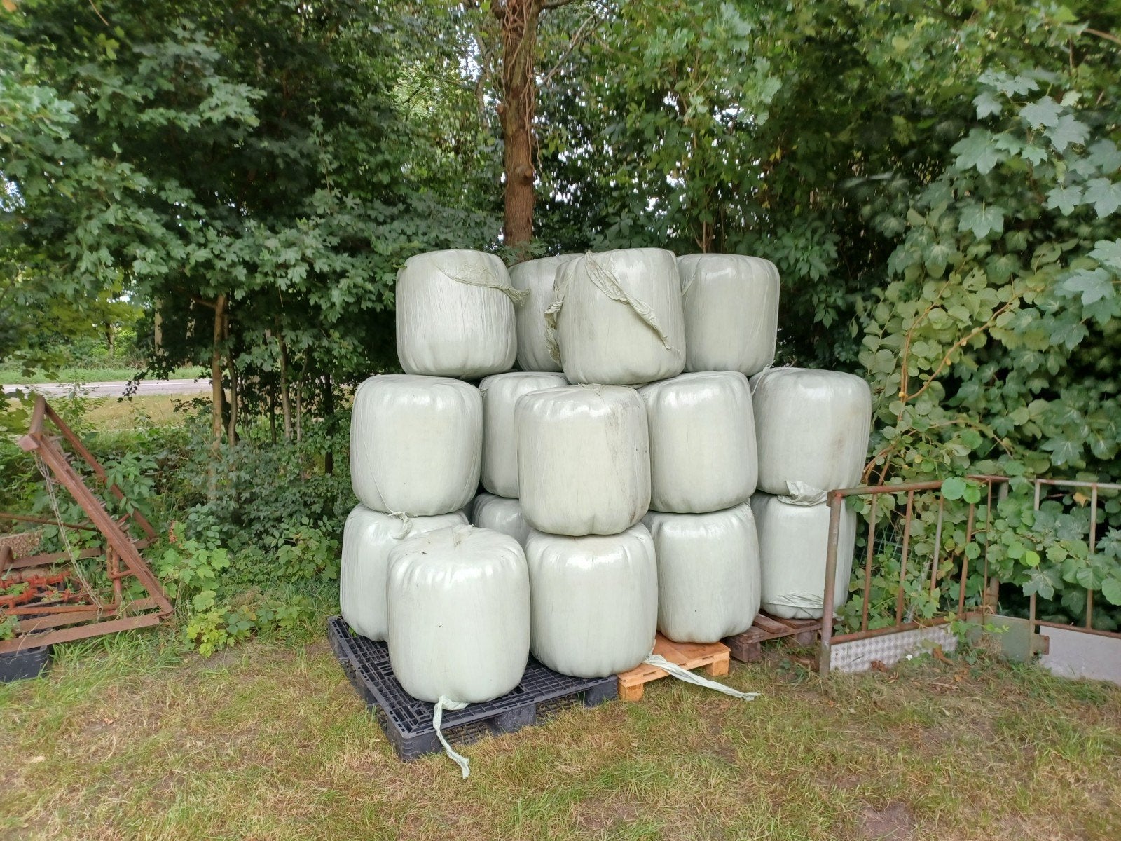 Hooi baaltjes mini hooi pakjes in folie mini hooi balen, Dieren en Toebehoren, Ophalen