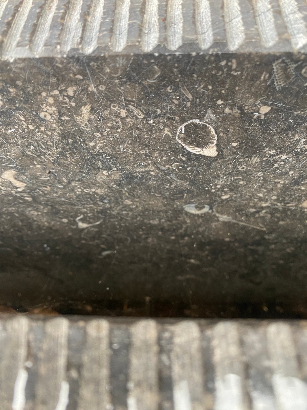 Gezocht, Belgisch Hardsteen vloer., Ophalen, Hardsteen, 60 cm of meer, Vloertegels