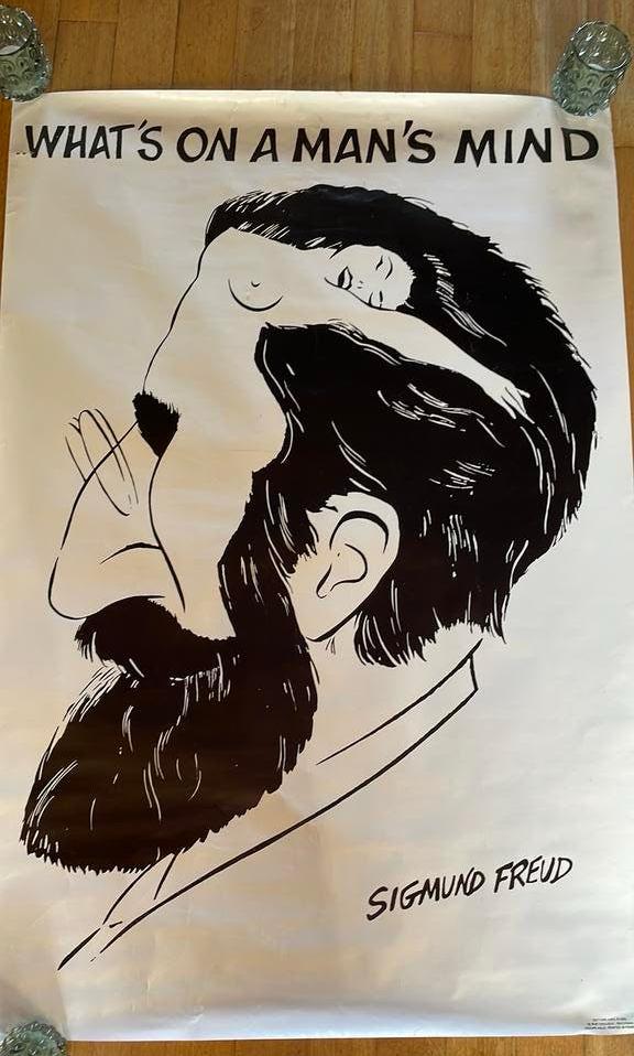 Originele karikatuur poster Sigmund Freud- uit 1973!, Ophalen of Verzenden, Gebruikt, Overige onderwerpen