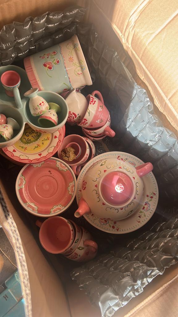 Het Ter Steege Servies - Compleet met Theepot en Meer, Ophalen, Gebruikt, Overige stijlen, Aardewerk
