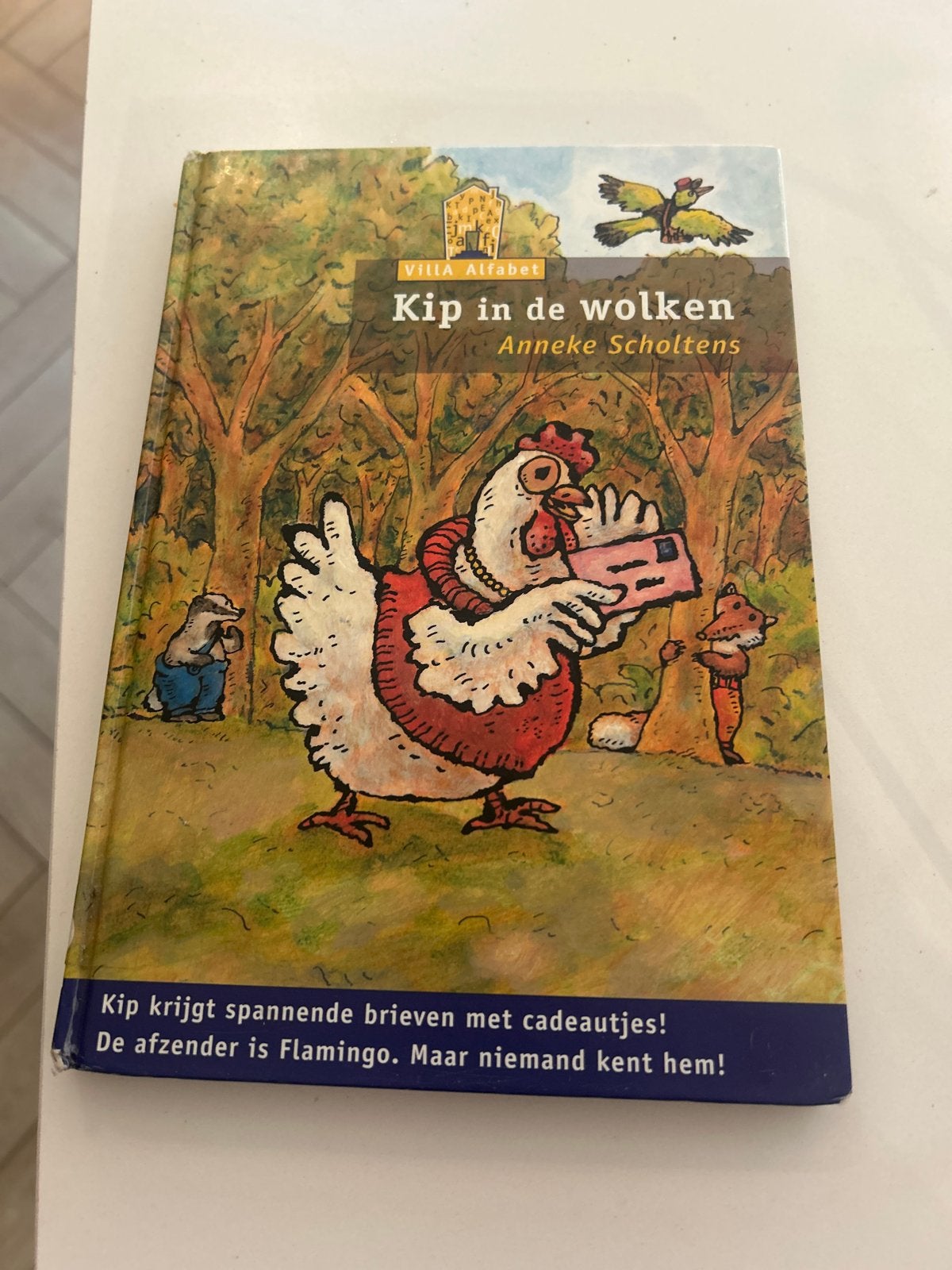 Anneke Scholtens - Kip in de wolken, Ophalen, Nederlands, Overige niveaus, Anneke Scholtens