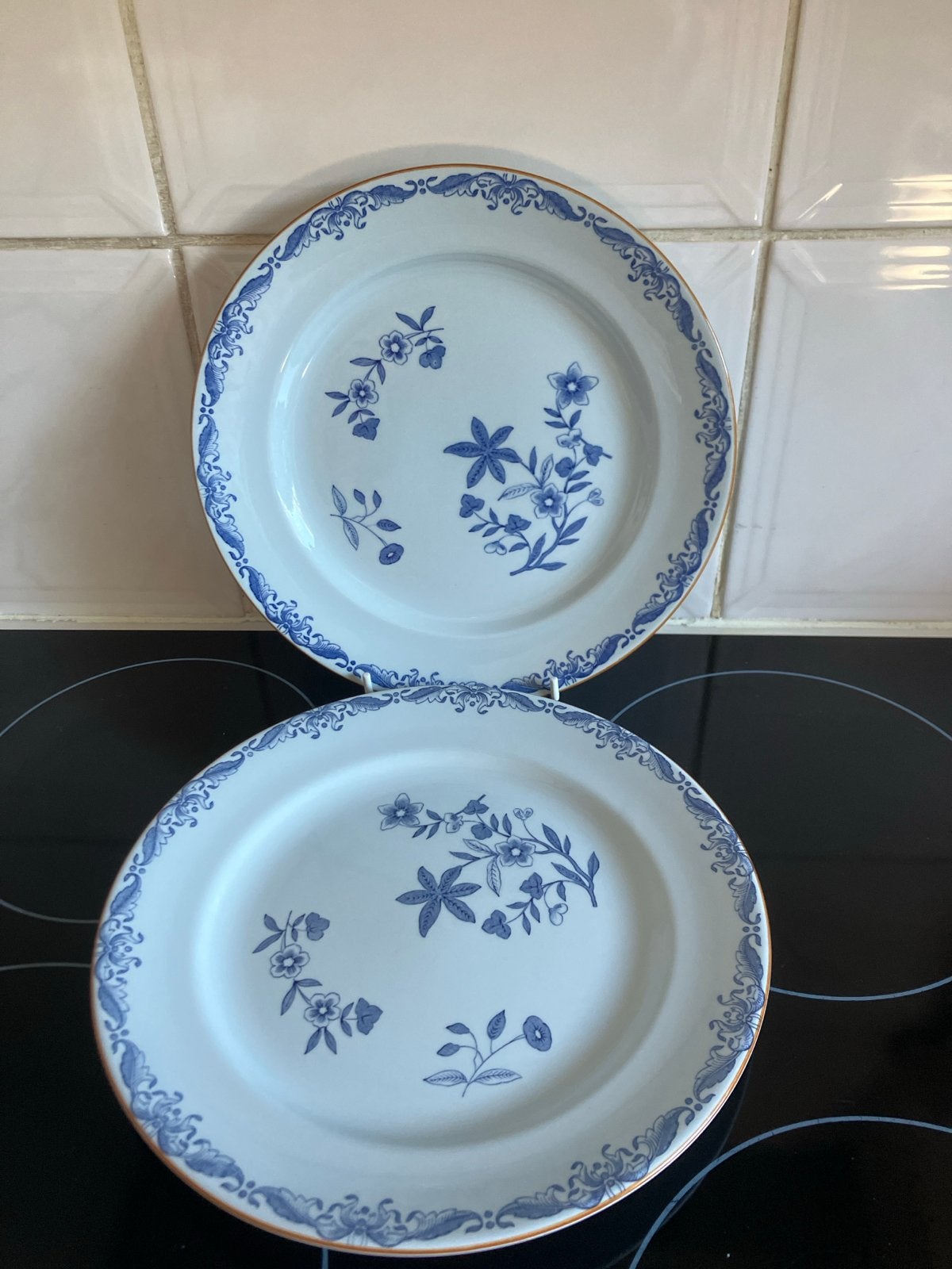 2x Rörstrand bord plat 24 cm decor east indies, Huis en Inrichting, Ophalen of Verzenden, Zo goed als nieuw, Overige stijlen, Bord(en)