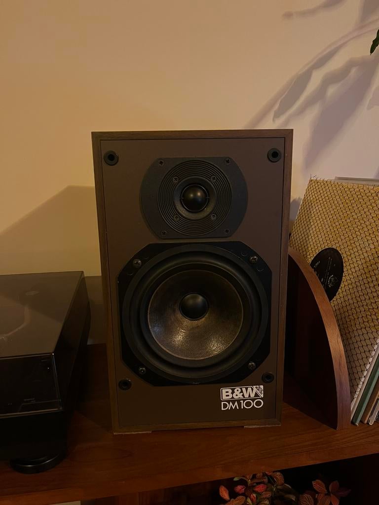 B&W DM 100, Audio, Tv en Foto, Luidsprekers, Ophalen, Gebruikt, Bowers & Wilkins (B&W), 120 watt of meer
