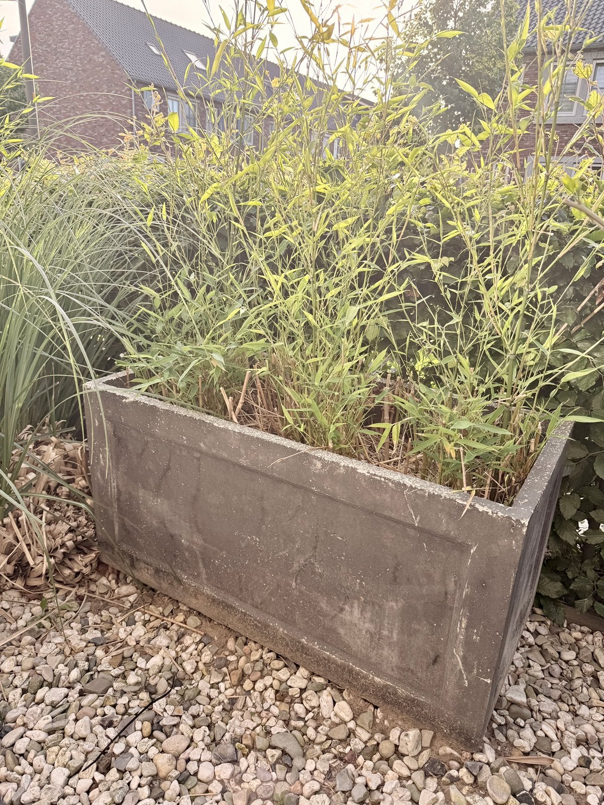 Gratis plantenbakken (2), Ophalen, Gebruikt