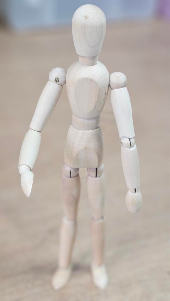 Tekenpop anatomisch, Ophalen of Verzenden, Overige typen