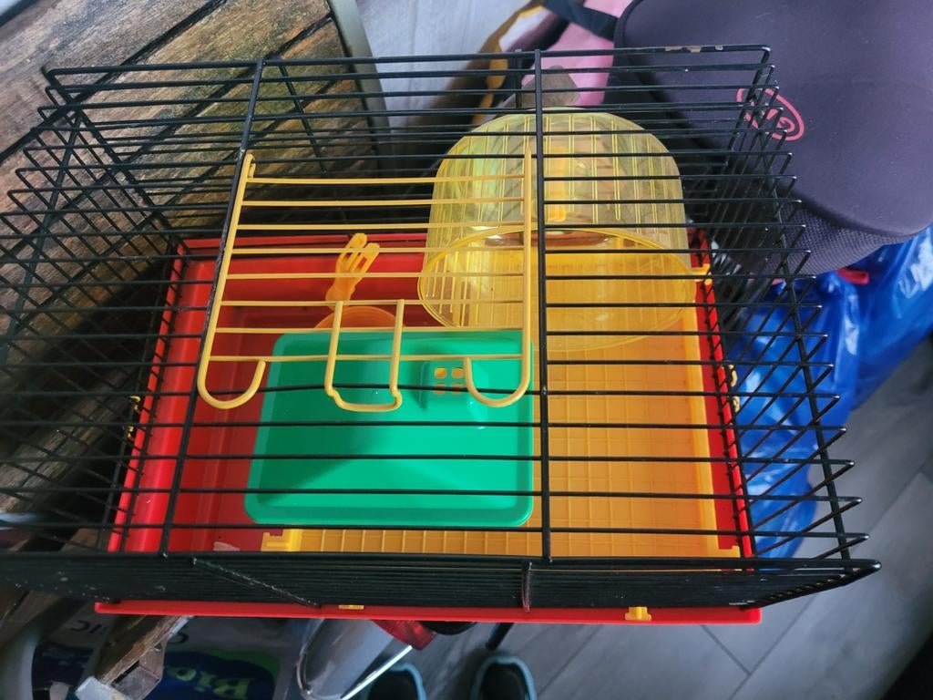 Hamsterkooi, Dieren en Toebehoren, Knaagdieren en Konijnen | Hokken en Kooien, Kooi, Gebruikt, Minder dan 75 cm, Hamster