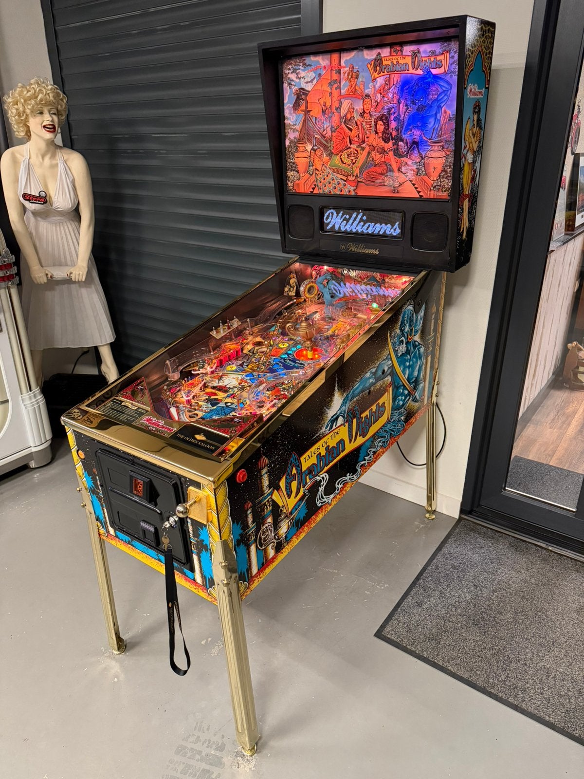 Flipperkast Williams Tales Of The Arabian Nights Pinball, Verzamelen, Automaten | Flipperkasten, Ophalen, Williams, Zo goed als nieuw