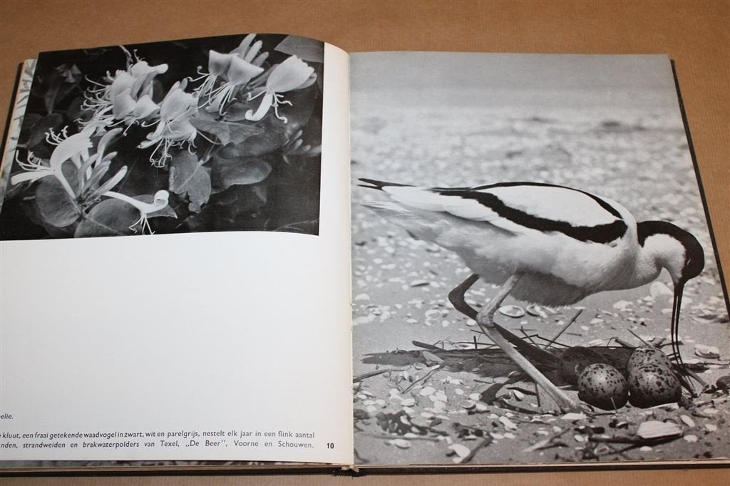 Van Texel tot Walcheren — Fotoboek Kust en Klederdracht, Boeken, Ophalen of Verzenden, Gelezen