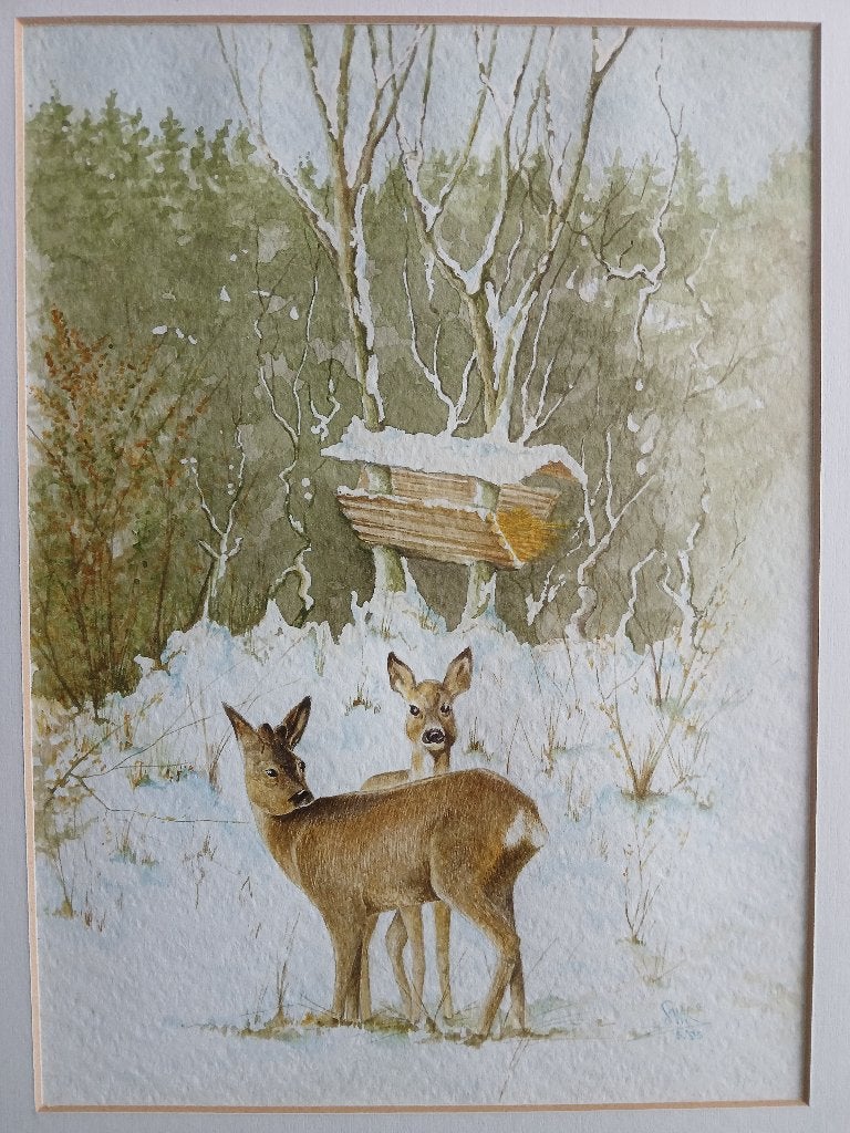 Aquarellen, Antiek en Kunst, Ophalen