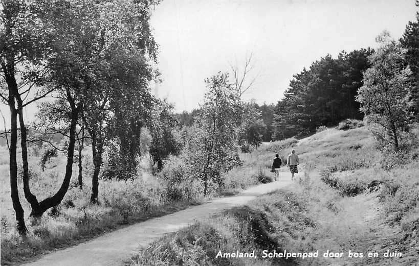377-266-015 Ameland Schelpenpad, Verzenden, Voor 1920, Friesland