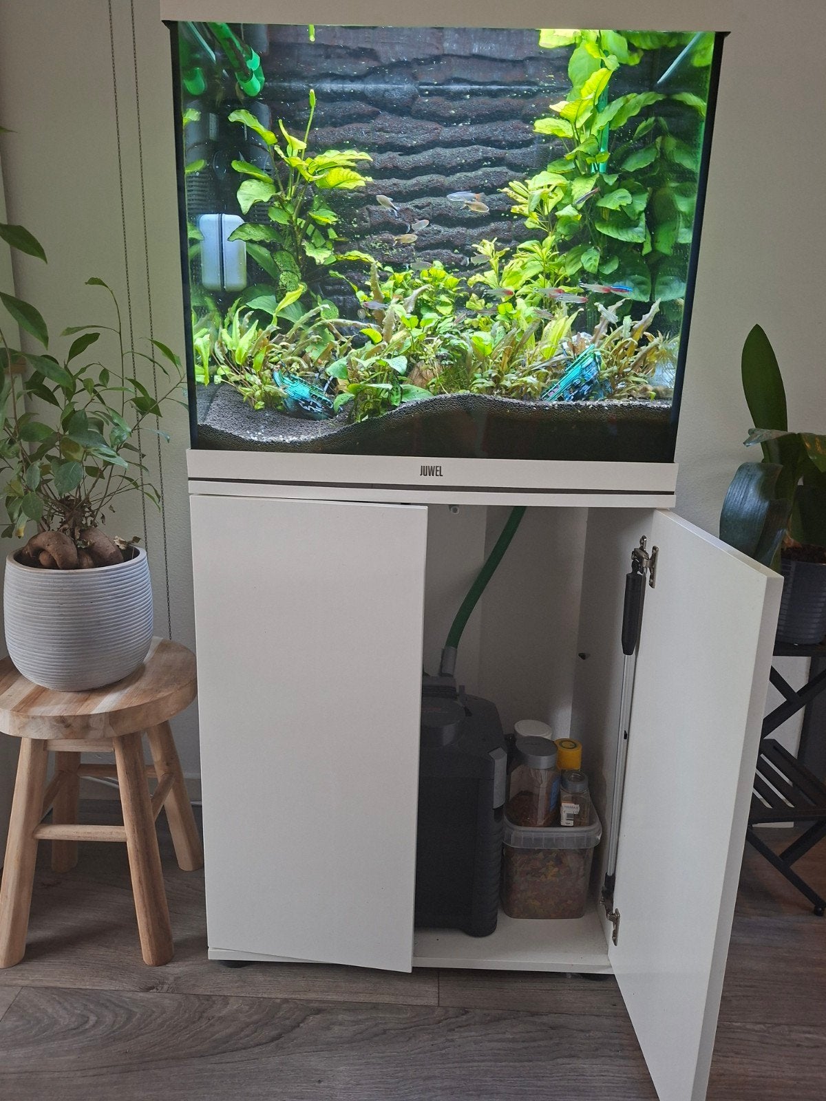 aquarium jewel, Ophalen, Inclusief deksel, Gebruikt, Aquariummeubel