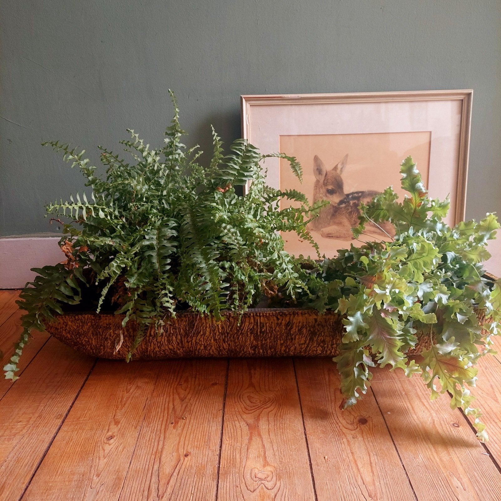 Zeldzame XL Vintage Brutalist cactus of bloembak Agu Reuver, Ophalen