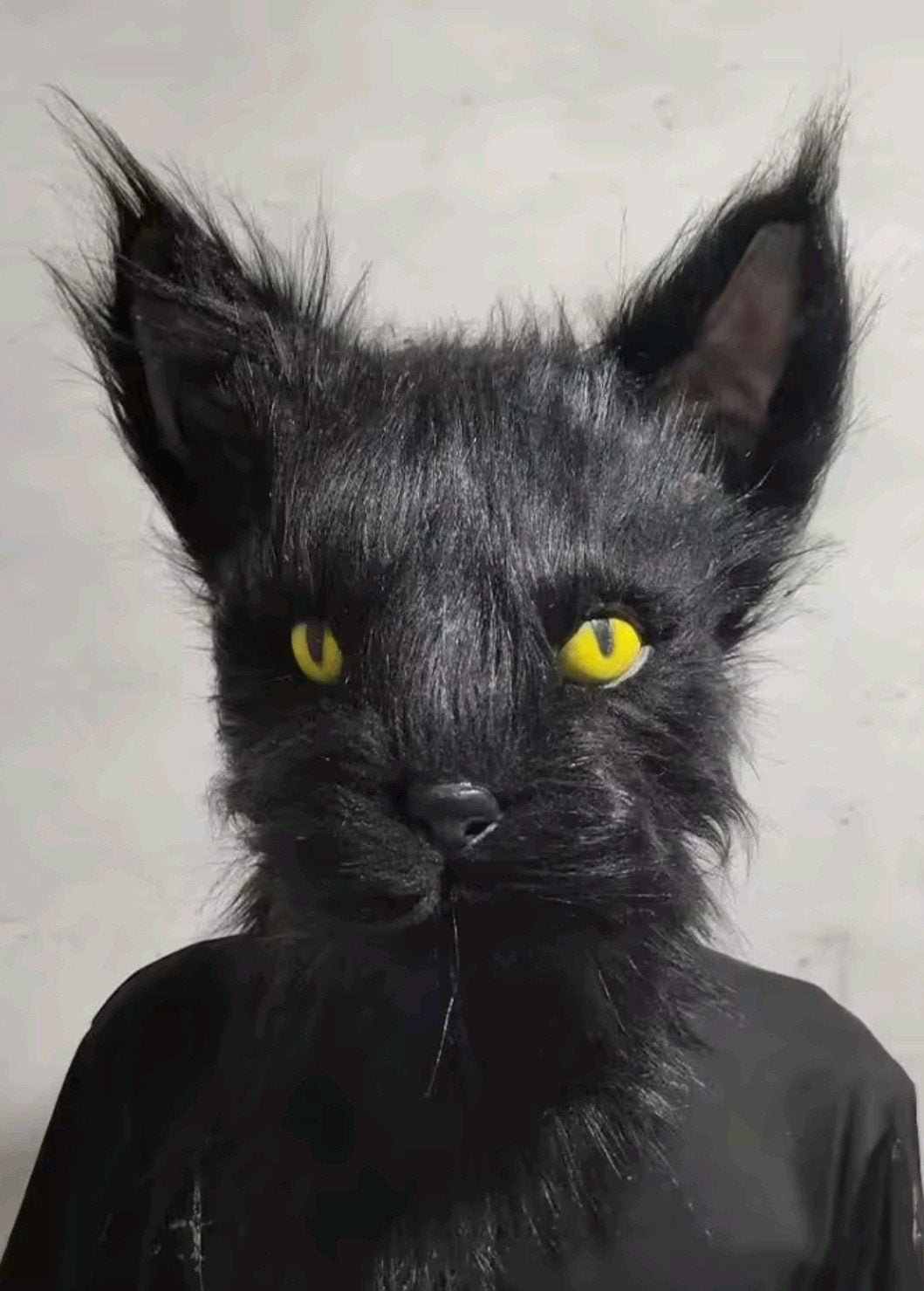 Black Cat Fantasy Masker, Verzenden, Nieuw