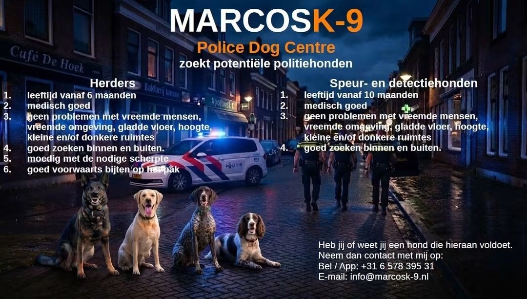 Gezocht nieuwe helden, Nederland, 15 weken tot 1 jaar, Handelaar, Meerdere