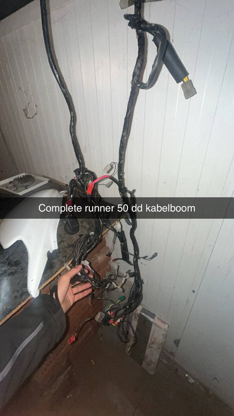 Ongeknipte runner 50 dd kabelboom, Ophalen of Verzenden, Zo goed als nieuw, Overige typen, Overige merken