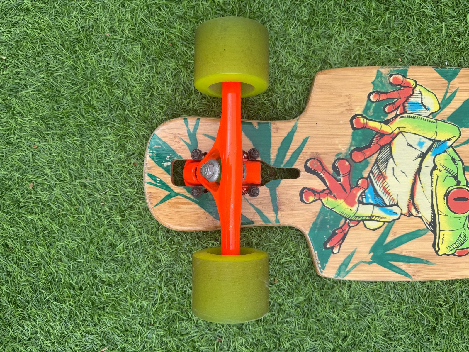 Riviera Skateboard - Longboard met kikker design, Sport en Fitness, Skateboarden, Ophalen of Verzenden, Gebruikt, Skateboard, Longboard