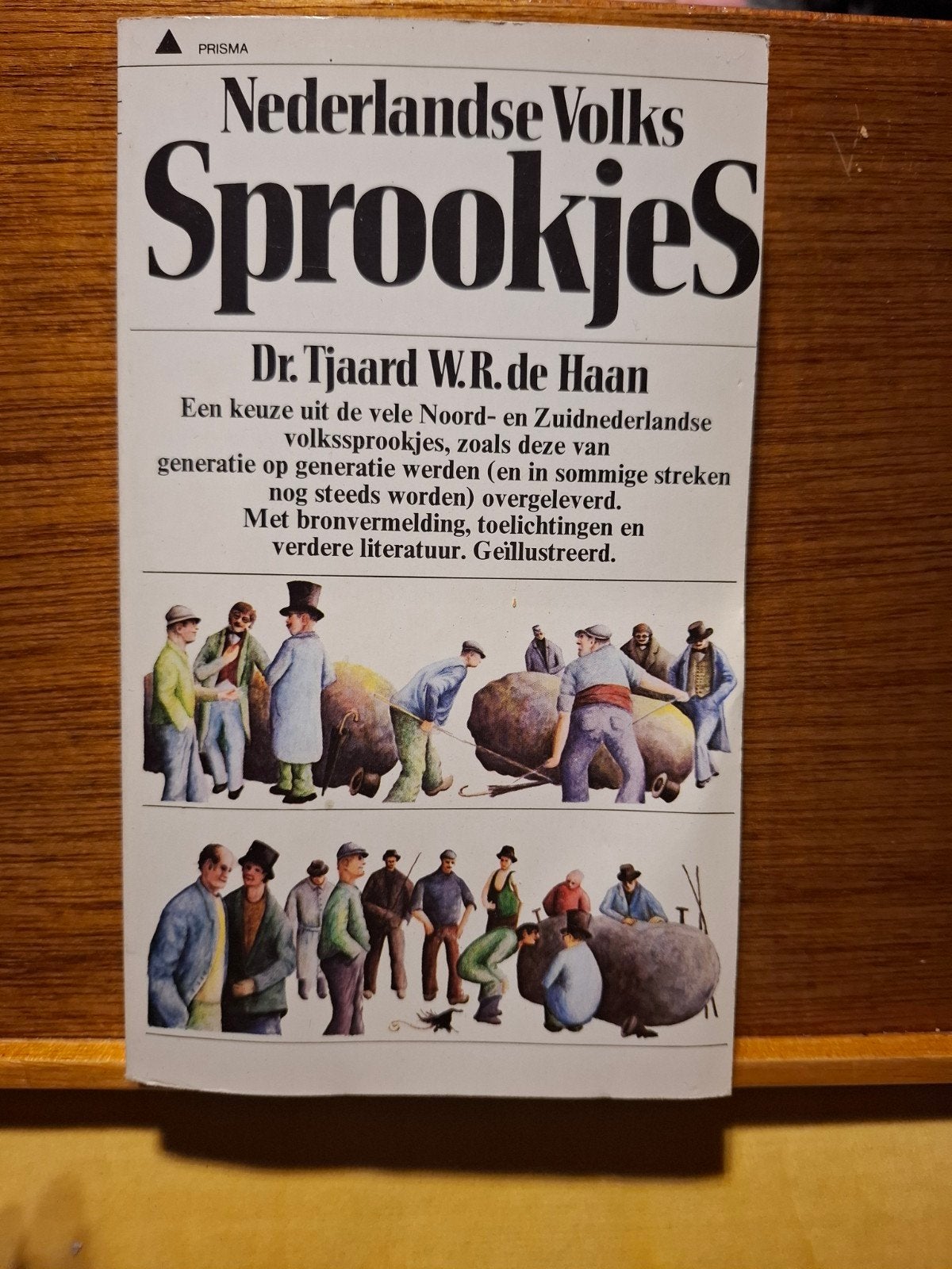 Nederlandse Volks Sprookjes - Dr. Tjaard W.R. de Haan, Ophalen of Verzenden, Gelezen, Dr. Tjaard W.R. de Haan