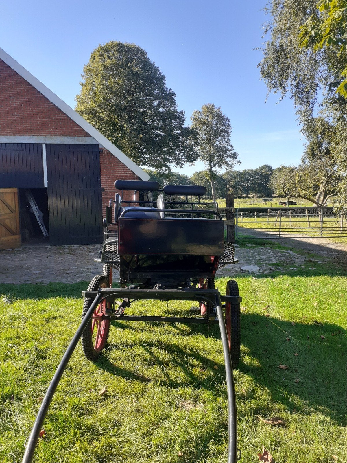 zeer mooie marathonwagen van van der Wal., Zo goed als nieuw, Marathonwagen, Paard of Pony