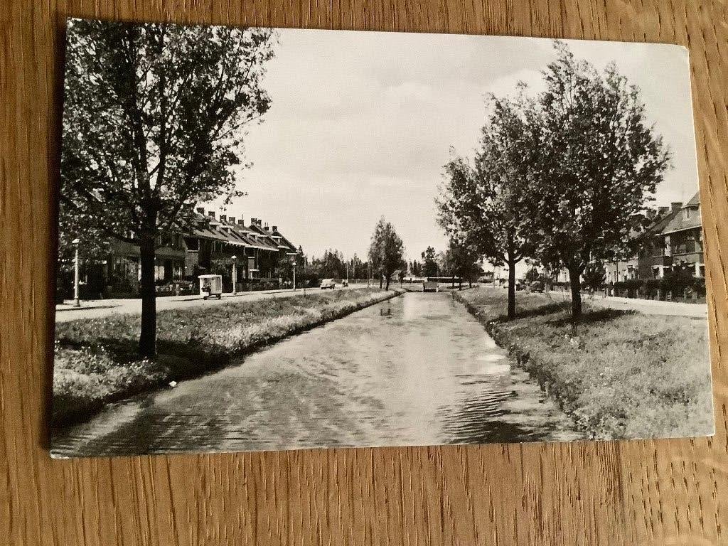 Rotterdam, Schiebroek, Wilgenlei, Ophalen of Verzenden, 1960 tot 1980, Gelopen, Zuid-Holland