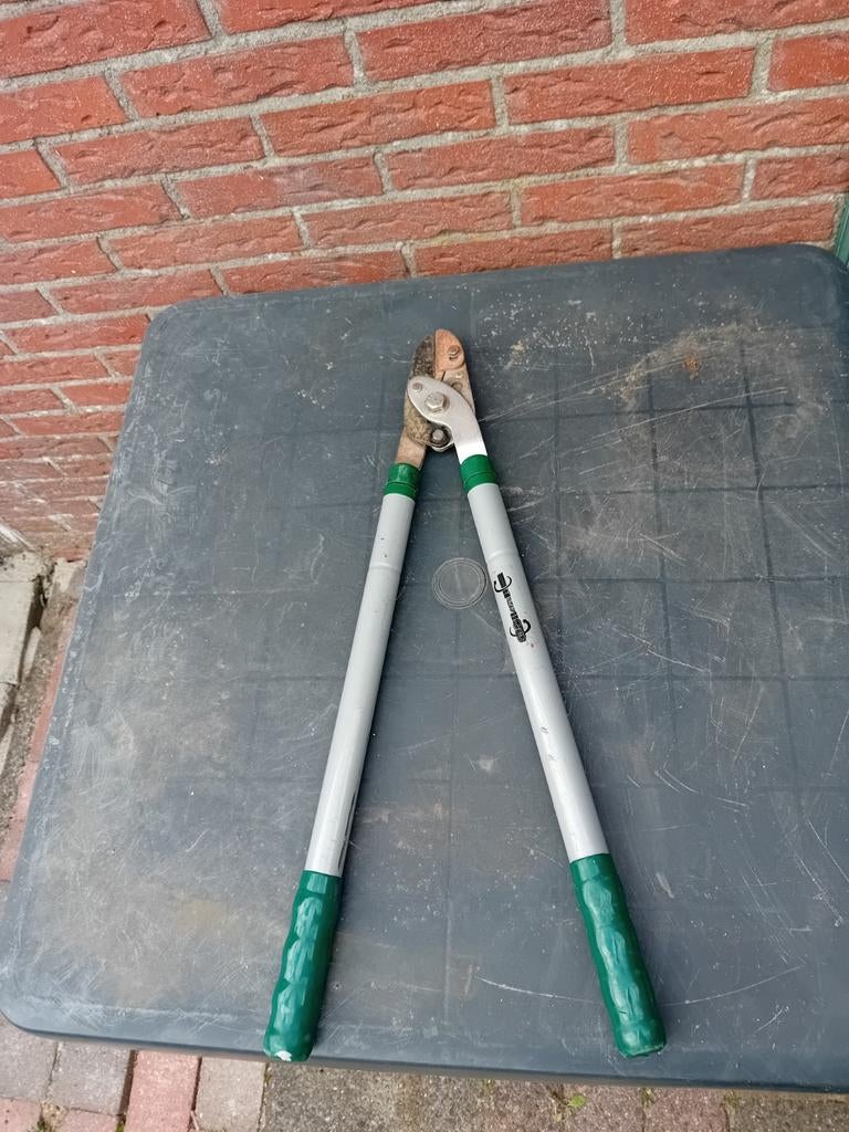 Takkenschaar telescopische gebruikt, Tuin en Terras, Ophalen, Gebruikt, 40 t/m 49 mm, Telescopisch