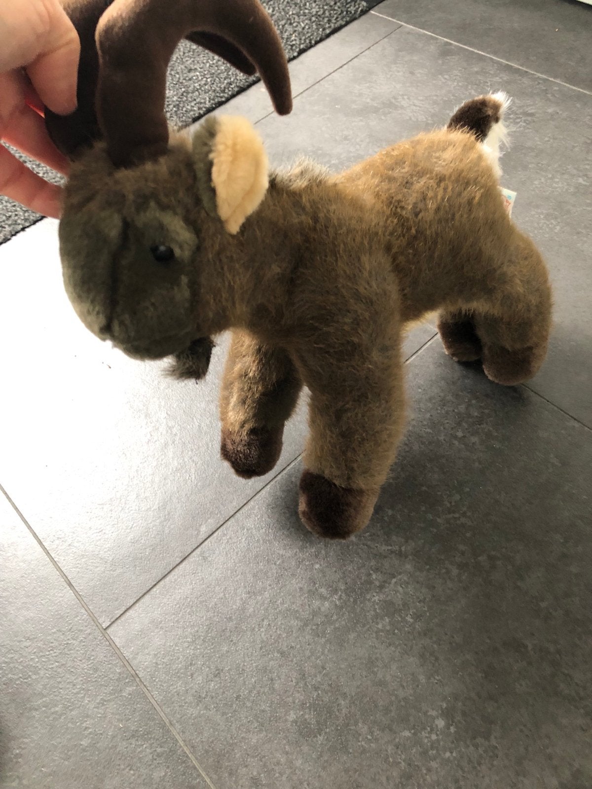Leuke knuffel geit van Gis Switzerland, Overige merken, Overige karakters, Overige typen, Ophalen of Verzenden