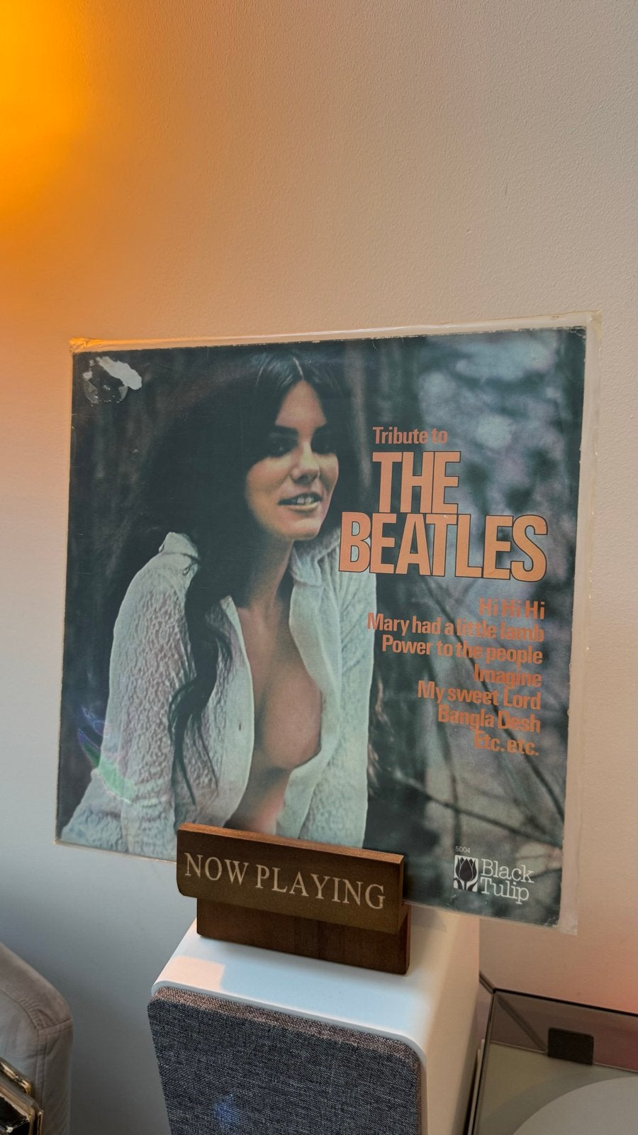 Tribute to The Beatles LP - Black Tulip vinyl, Cd's en Dvd's, Vinyl | Pop, LP, Gebruikt, Pop, Ophalen of Verzenden
