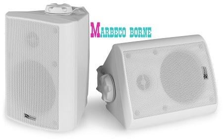 100Volt Speaker set wit, 8 OHM, 4" 100W IPX5, BC40V