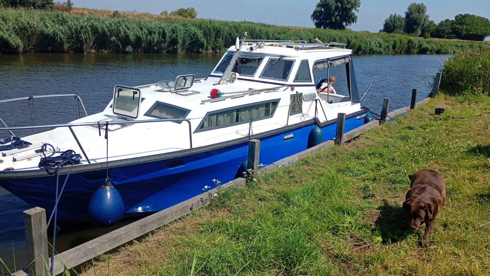 Eurokruiser 1050, Watersport en Boten, 10 m, Gebruikt, Binnenboordmotor, 110 cm