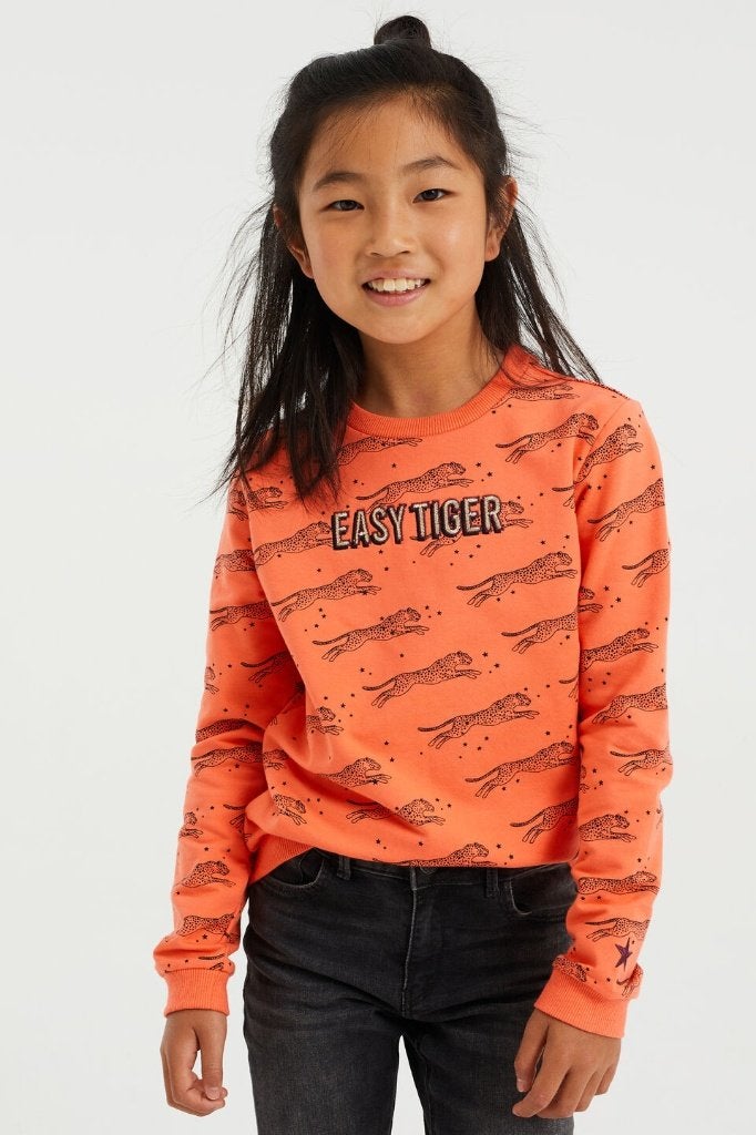 Mooie oranje WE sweater met luipaardprint maat 146-152., Kinderen en Baby's, Kinderkleding | Maat 146, Trui of Vest, Zo goed als nieuw