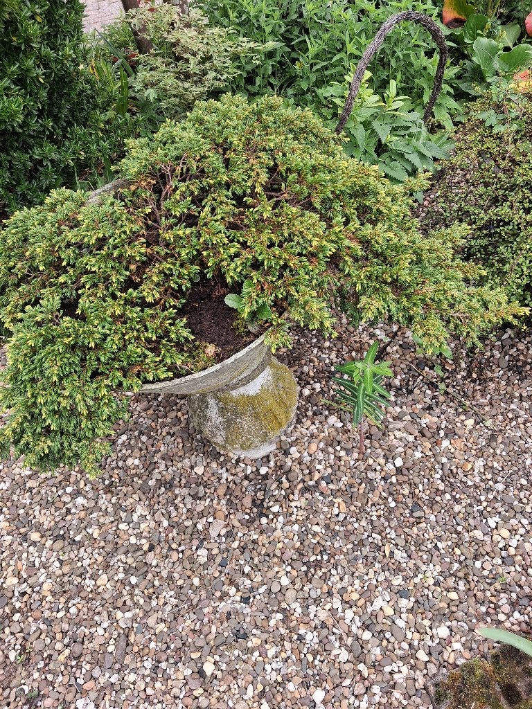 tuin stenen plantenbak sokkel junipers jeneverbes, Ophalen, Steen, Gebruikt, Rond