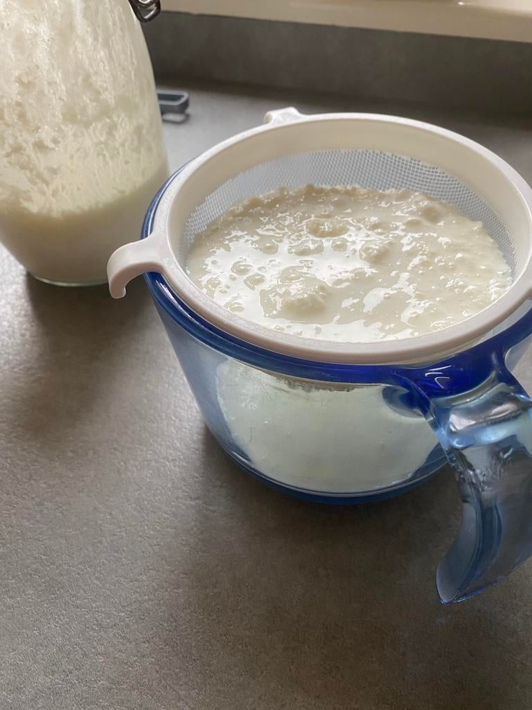 Melkkefir korrels, Ophalen