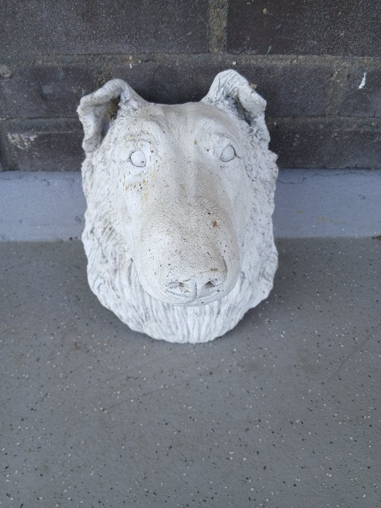 Schotse Collie Hoofd voor aan de Muur - Beton, Ophalen