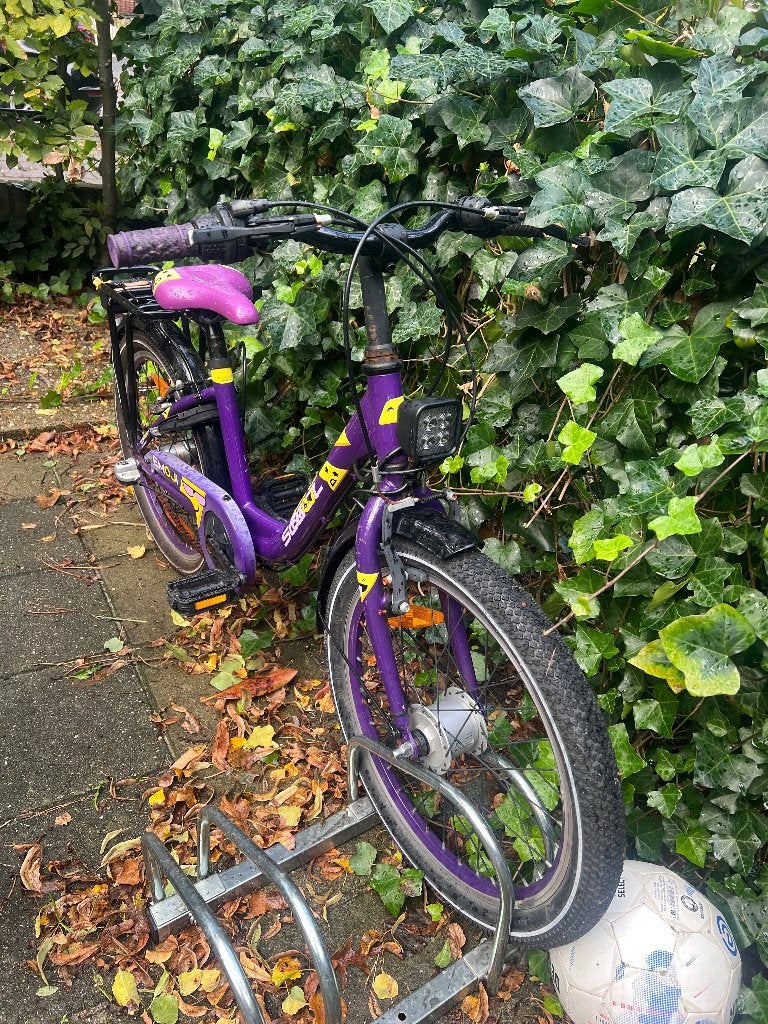Fiets moutainbike meisje 6-8 jaar 20 inch, Ophalen, Terugtraprem, Gebruikt, Handrem
