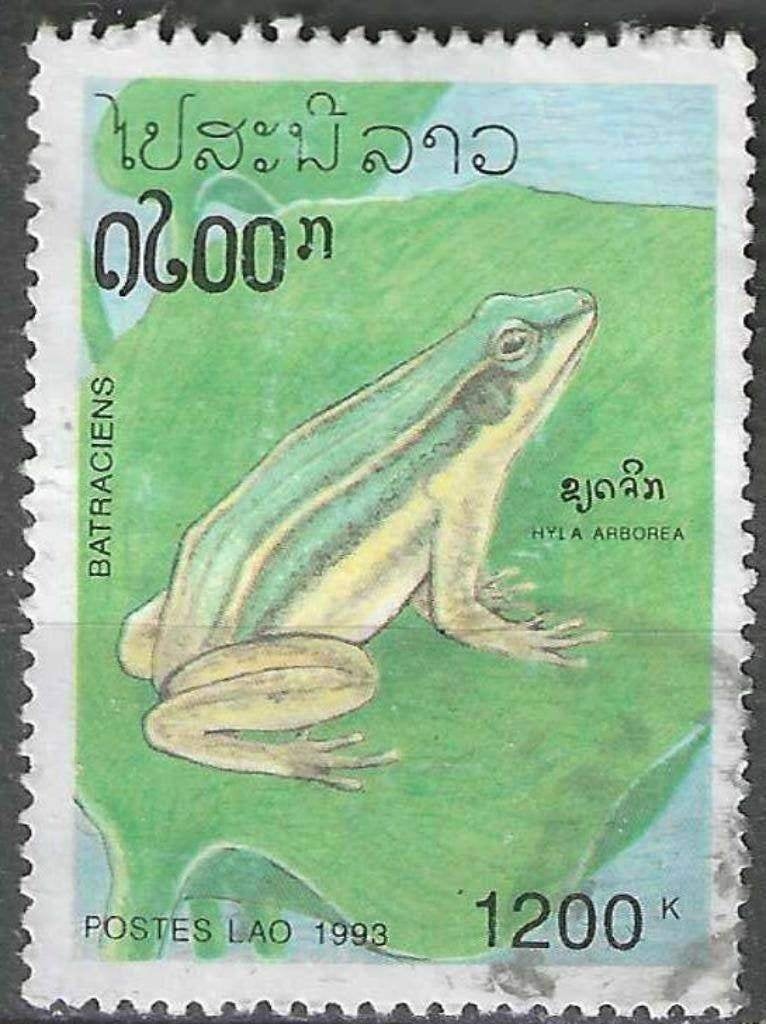 Laos 1993 - Yvert 1080 - Kikkers - Hyla arborea (ST), Verzenden, Gestempeld, Zuidoost-Azië