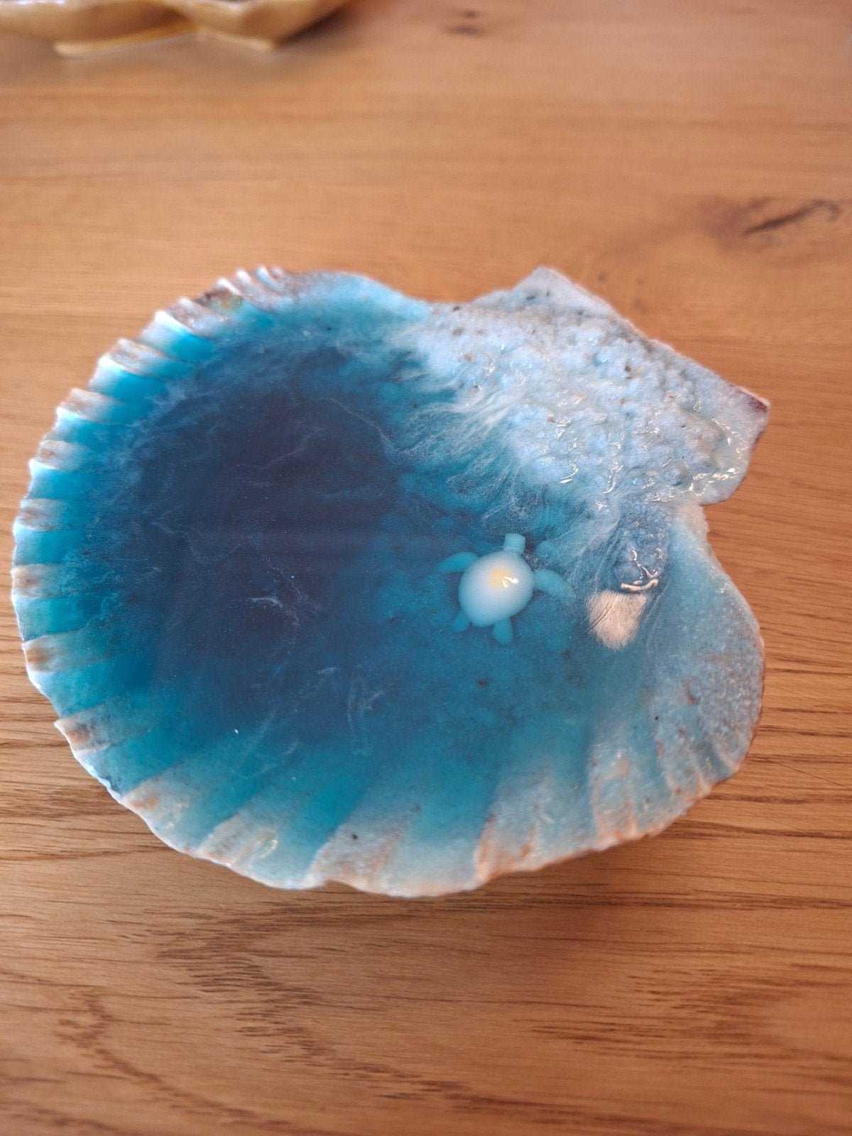 Unieke strand schelp decoratie, Ophalen of Verzenden, Nieuw