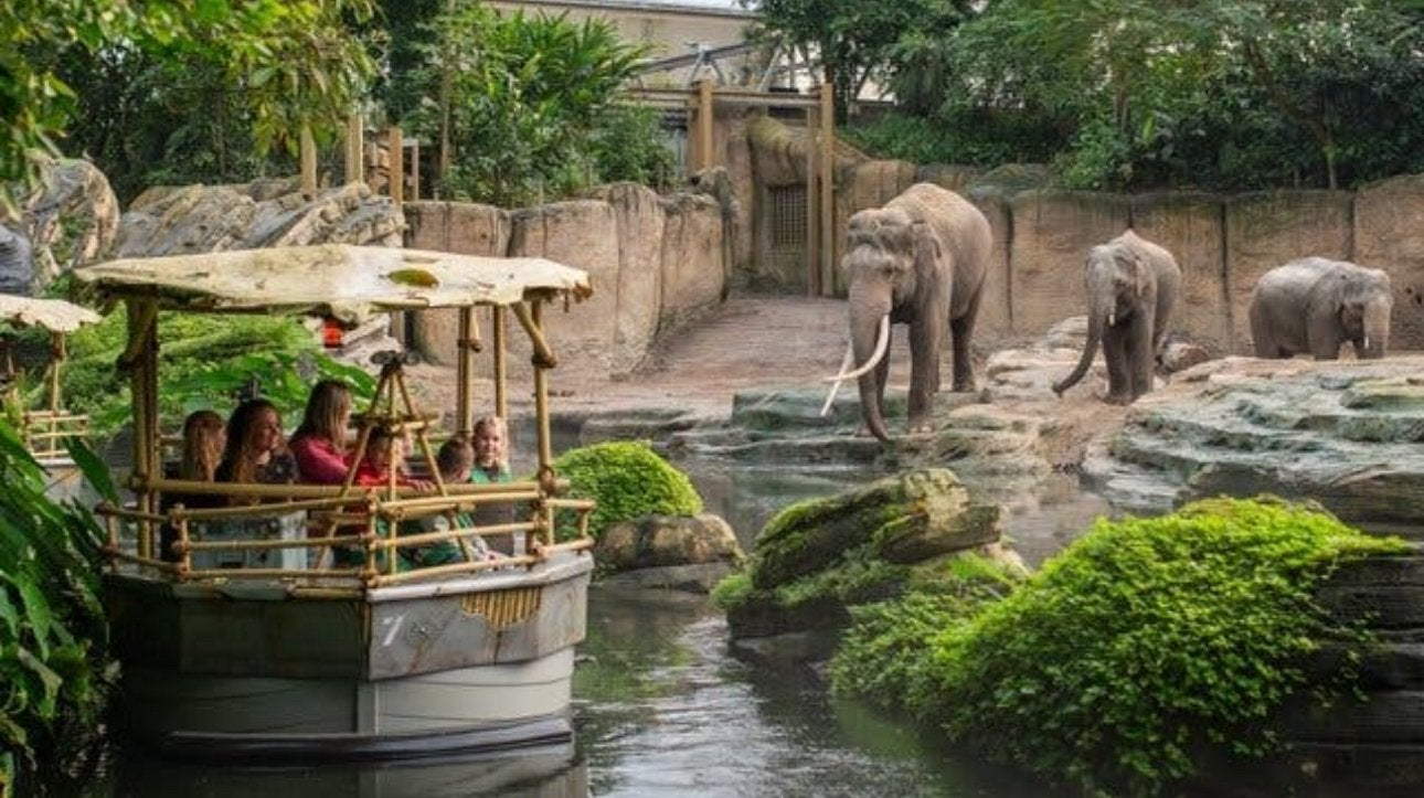 Wildlands adventu zoo emmen, Twee personen, Dierentuinbon