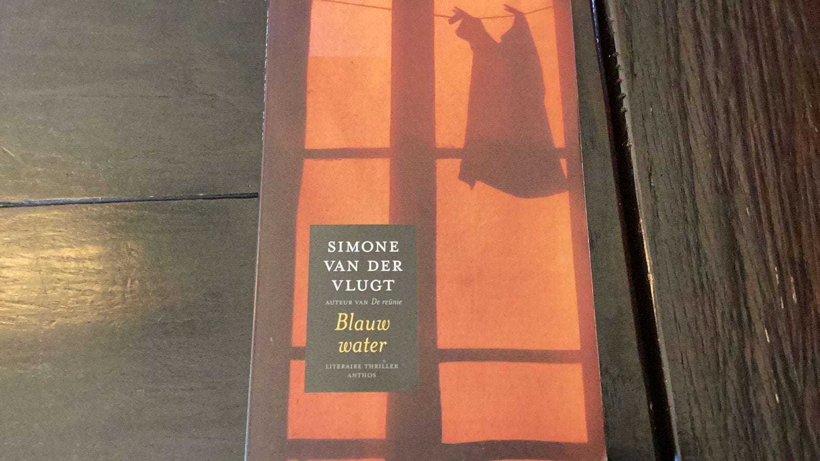 Blauw Water - Simone van der Vlugt (Literaire thriller), Ophalen of Verzenden, Zo goed als nieuw, Nederland