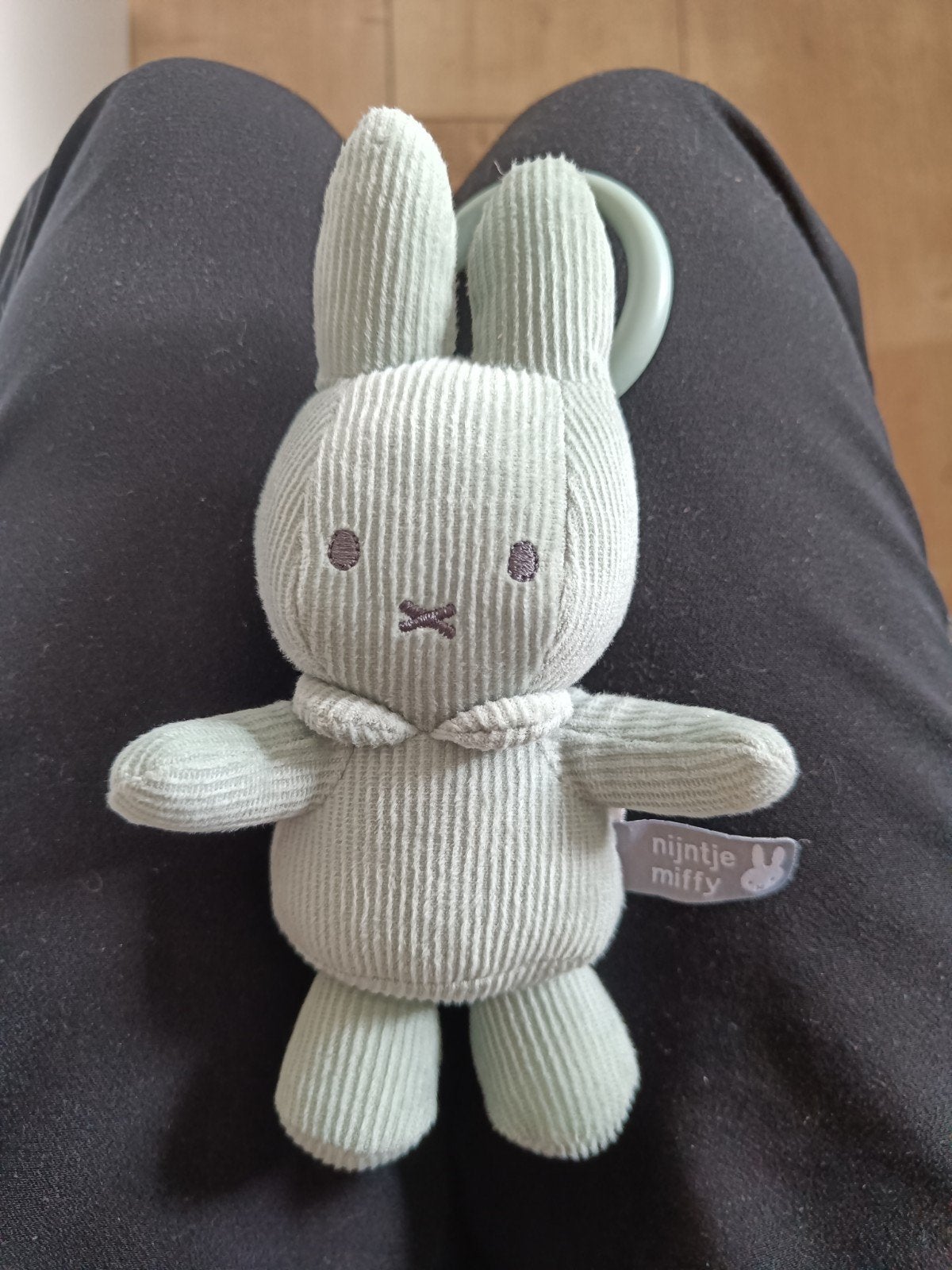 Nijntje knuffel met vibratie, Groen, Konijn, Nijntje, Ophalen of Verzenden