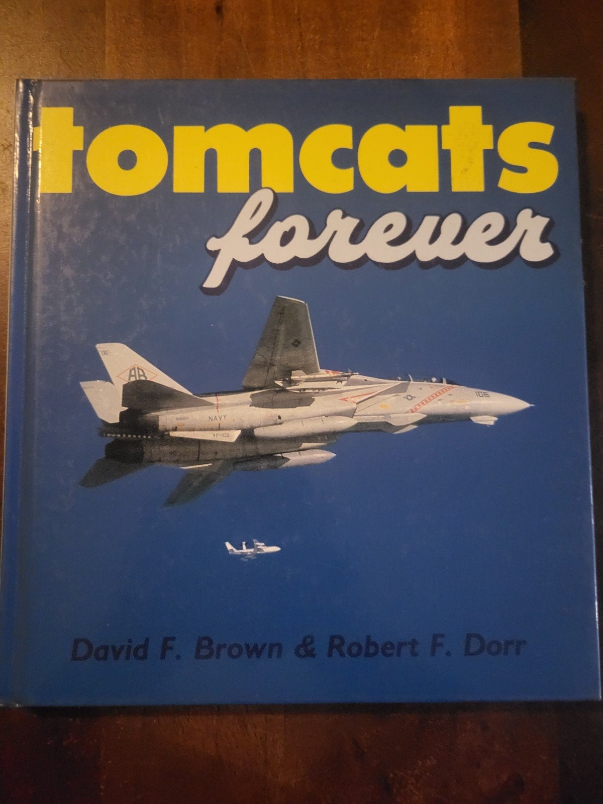 Tomcats Forever - Boek over F-14 Tomcat vliegtuigen, Ophalen of Verzenden, Zo goed als nieuw, 1945 tot heden, Luchtmacht