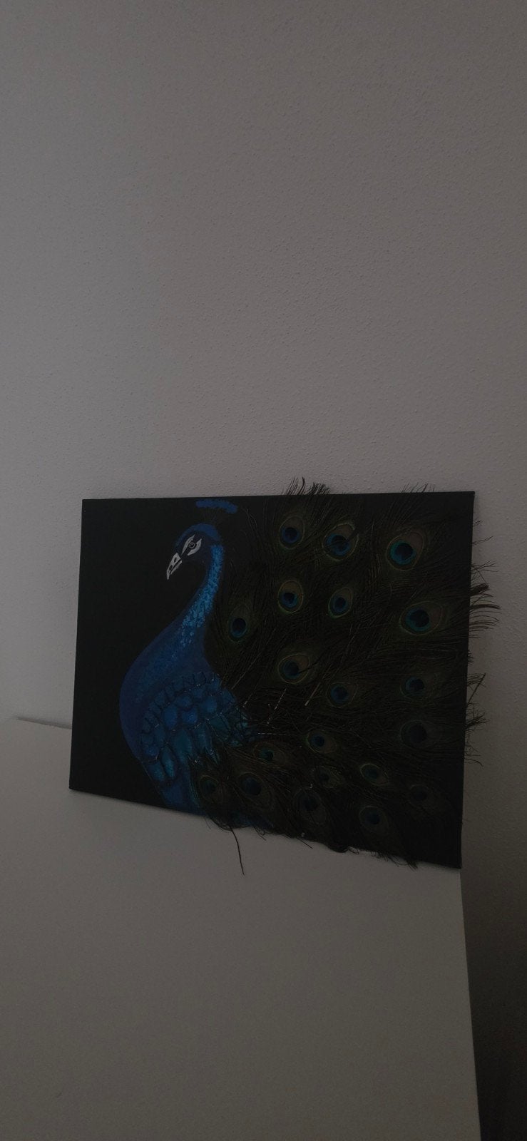 Schilderij Pauw met echte veren, Antiek en Kunst, Kunst | Schilderijen | Klassiek, Ophalen of Verzenden