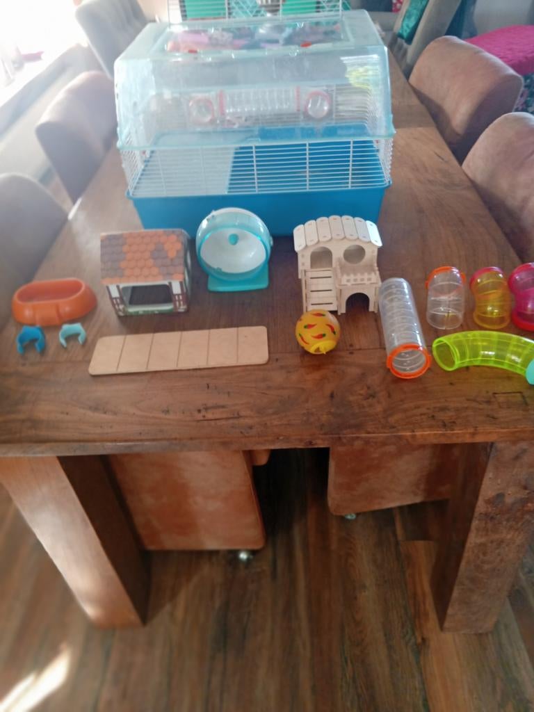 Hamster hok met spullen, Dieren en Toebehoren, Knaagdieren en Konijnen | Hokken en Kooien, Gebruikt, Minder dan 75 cm, Ophalen