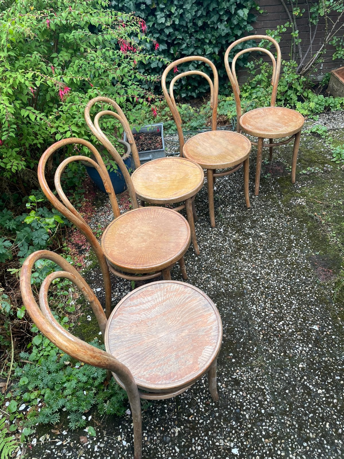 Vijf Thonet stoelen, Ophalen