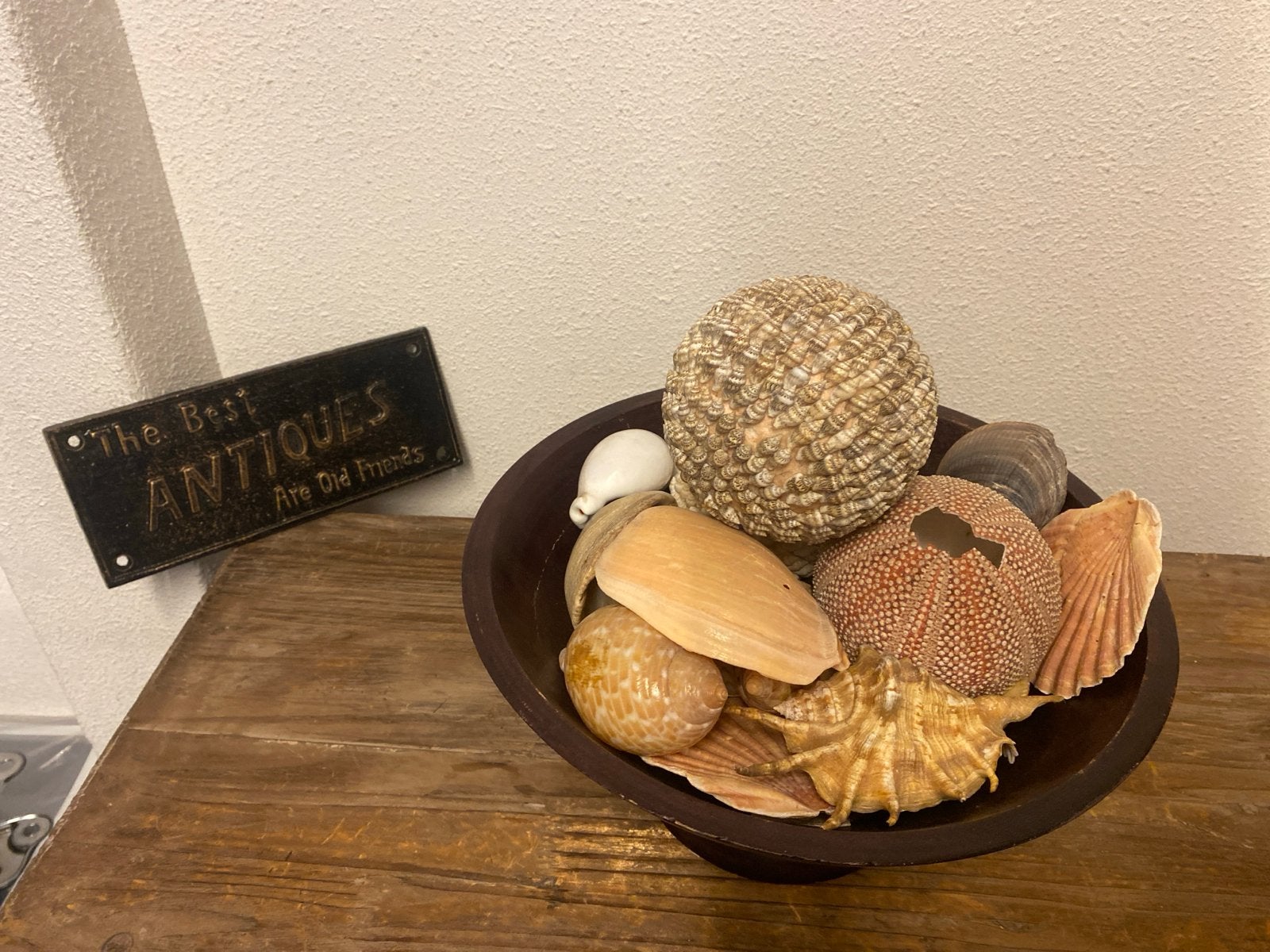 Decoratieve schaal met diverse schelpen, Ophalen of Verzenden